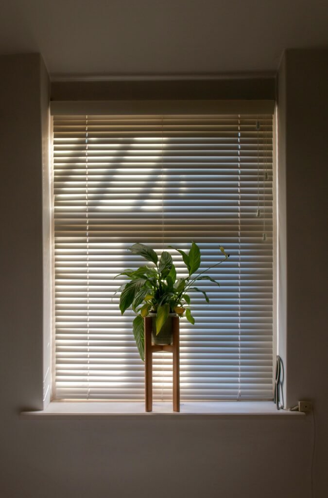 Venetian Blinds