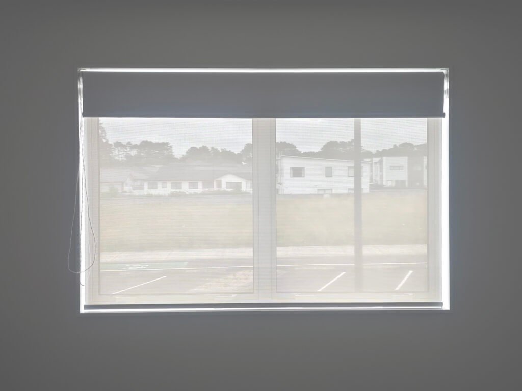 Double Roller Blinds