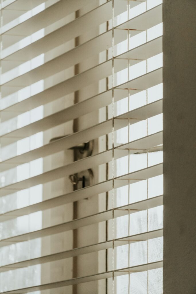 Venetian Blinds