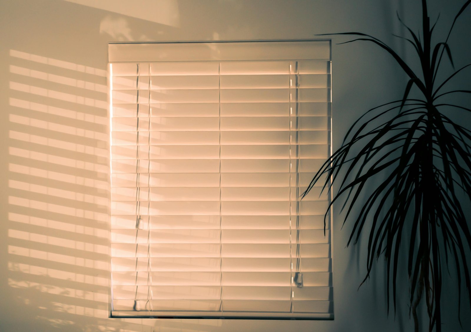 Venetian Blinds